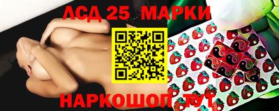 дмт Аргун