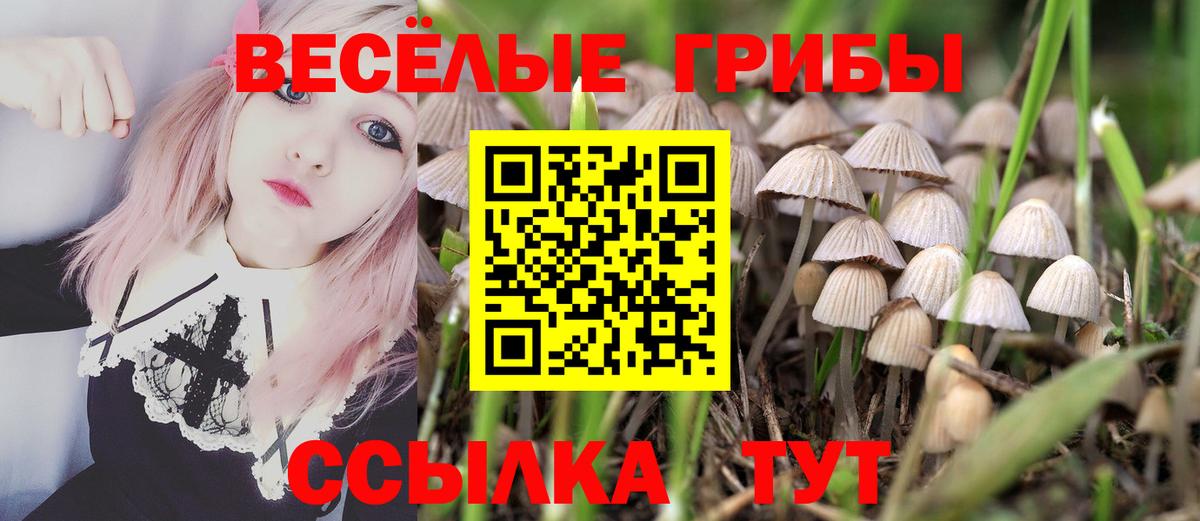 Псилоцибиновые грибы прущие грибы  Вход с VPN  Артём 
