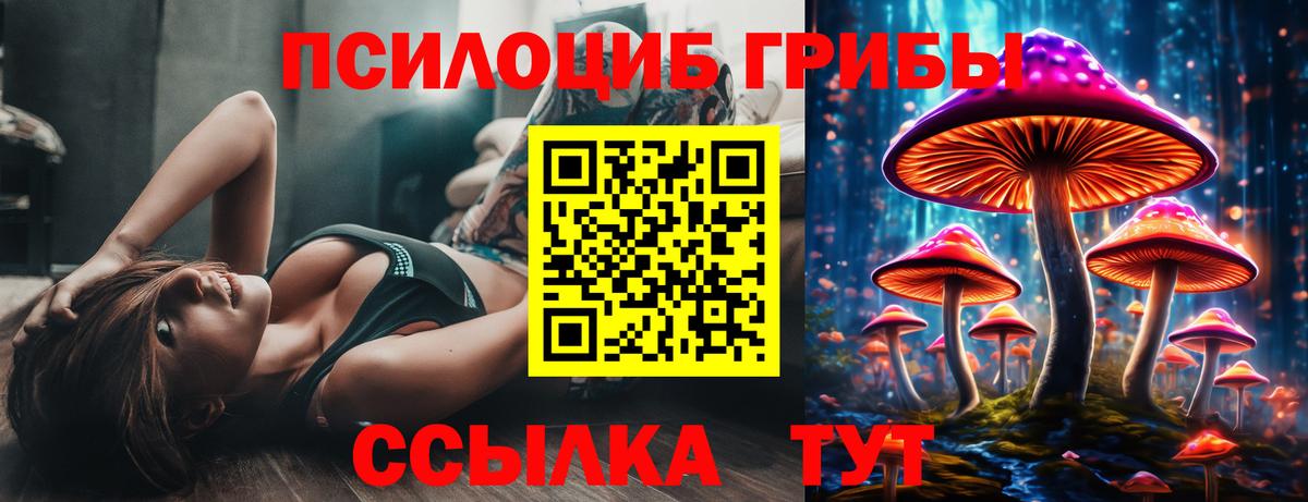 Псилоцибиновые грибы Psilocybine cubensis Артём